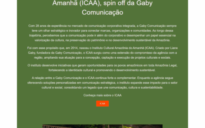 FireShot Capture 005 - Gaby Comunicações – Há mais de 20 anos, nossa missão é criar conexõ_ - [gabycomunicacao.com.br]